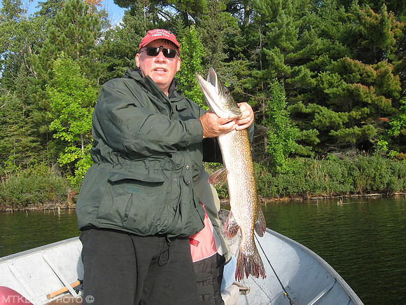 Mike's 36" Pike